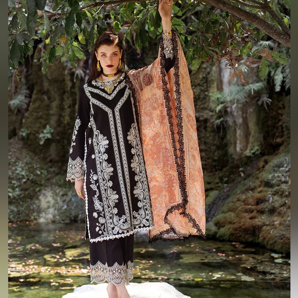 Pakistani Indian dress suit